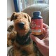 Dr. Flex Joint Tablets for Dogs - 110 High Dose Complex Capsules - with Glucosamine, Chondroitin, MSM, Turmeric, Hyaluronic Acid & Piperine - For Bones, Joints & Cartilage