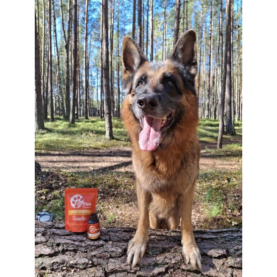 Dr. Flex Joint Tablets for Dogs - 110 High Dose Complex Capsules - with Glucosamine, Chondroitin, MSM, Turmeric, Hyaluronic Acid & Piperine - For Bones, Joints & Cartilage Dr. Flex Joint Tablets for Dogs - 110 High Dose Complex Capsules - with Glucosamine, Chondroitin, MSM, Turmeric, Hyaluronic Acid & Piperine - For Bones, Joints & Cartilage