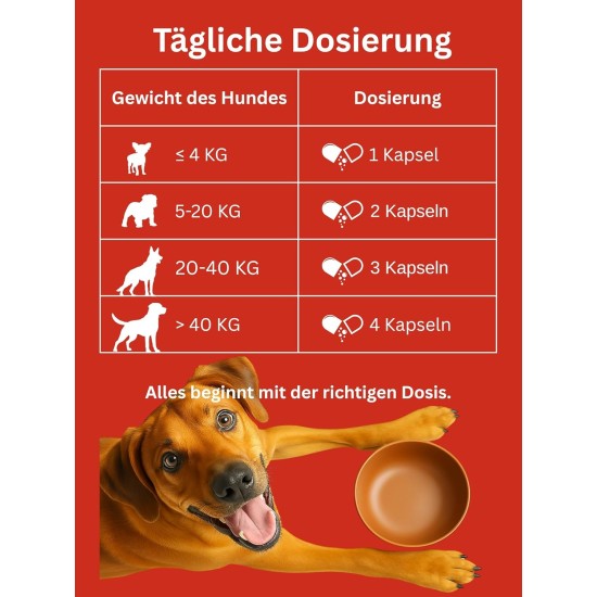 Dr. Flex Joint Tablets for Dogs - 110 High Dose Complex Capsules - with Glucosamine, Chondroitin, MSM, Turmeric, Hyaluronic Acid & Piperine - For Bones, Joints & Cartilage Dr. Flex Joint Tablets for Dogs - 110 High Dose Complex Capsules - with Glucosamine, Chondroitin, MSM, Turmeric, Hyaluronic Acid & Piperine - For Bones, Joints & Cartilage
