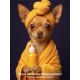 Dr. Flex Vitamin B Complex for Dogs - With B1, B2, B3, B5, B9 & B12 - 300 g Collagen Powder with 4500 mg Bovine Collagen & 500 mg Marine Collagen Type I, II & III - Joints, Vitality, Nerve