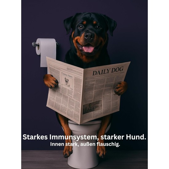 Dr. Flex Vitamin B Complex for Dogs - With B1, B2, B3, B5, B9 & B12 - 300 g Collagen Powder with 4500 mg Bovine Collagen & 500 mg Marine Collagen Type I, II & III - Joints, Vitality, Nerve Dr. Flex Vitamin B Complex for Dogs - With B1, B2, B3, B5, B9 & B12 - 300 g Collagen Powder with 4500 mg Bovine Collagen & 500 mg Marine Collagen Type I, II & III - Joints, Vitality, Nerve