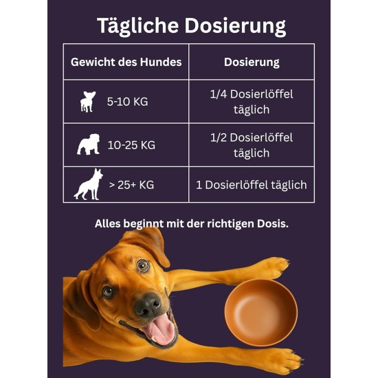 Dr. Flex Vitamin B Complex for Dogs - With B1, B2, B3, B5, B9 & B12 - 300 g Collagen Powder with 4500 mg Bovine Collagen & 500 mg Marine Collagen Type I, II & III - Joints, Vitality, Nerve Dr. Flex Vitamin B Complex for Dogs - With B1, B2, B3, B5, B9 & B12 - 300 g Collagen Powder with 4500 mg Bovine Collagen & 500 mg Marine Collagen Type I, II & III - Joints, Vitality, Nerve