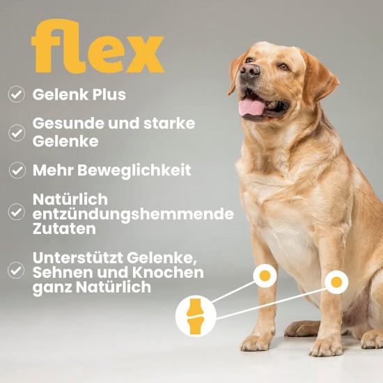 Flex Collagen Supplement GLucosamine Chondroitin for Dogs Ideal for Joint Problems Dog Biscuits with MSM, Turmeric, Rosehip, Glucosamine and Chondroitin Flex Collagen Supplement GLucosamine Chondroitin for Dogs Ideal for Joint Problems Dog Biscuits with MSM, Turmeric, Rosehip, Glucosamine and Chondroitin