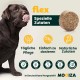 Flex Collagen Supplement GLucosamine Chondroitin for Dogs Ideal for Joint Problems Dog Biscuits with MSM, Turmeric, Rosehip, Glucosamine and Chondroitin Flex Collagen Supplement GLucosamine Chondroitin for Dogs Ideal for Joint Problems Dog Biscuits with MSM, Turmeric, Rosehip, Glucosamine and Chondroitin