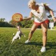 Flex Collagen Supplement GLucosamine Chondroitin for Dogs Ideal for Joint Problems Dog Biscuits with MSM, Turmeric, Rosehip, Glucosamine and Chondroitin Flex Collagen Supplement GLucosamine Chondroitin for Dogs Ideal for Joint Problems Dog Biscuits with MSM, Turmeric, Rosehip, Glucosamine and Chondroitin