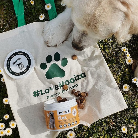 Flex Collagen Supplement GLucosamine Chondroitin for Dogs Ideal for Joint Problems Dog Biscuits with MSM, Turmeric, Rosehip, Glucosamine and Chondroitin Flex Collagen Supplement GLucosamine Chondroitin for Dogs Ideal for Joint Problems Dog Biscuits with MSM, Turmeric, Rosehip, Glucosamine and Chondroitin
