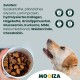 Flex Collagen Supplement GLucosamine Chondroitin for Dogs Ideal for Joint Problems Dog Biscuits with MSM, Turmeric, Rosehip, Glucosamine and Chondroitin Flex Collagen Supplement GLucosamine Chondroitin for Dogs Ideal for Joint Problems Dog Biscuits with MSM, Turmeric, Rosehip, Glucosamine and Chondroitin