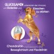 Glucosamine Chondroitin Complex - 180 Capsules - Cartilage Building, Joints & Bones - Joint Capsules Dogs & Cats - With Turmeric, Ginger, Vitamin C - Alternative to Joint Tablets, Green-lipped Mussel Glucosamine Chondroitin Complex - 180 Capsules - Cartilage Building, Joints & Bones - Joint Capsules Dogs & Cats - With Turmeric, Ginger, Vitamin C - Alternative to Joint Tablets, Green-lipped Mussel