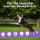 Glucosamine Chondroitin Complex - 180 Capsules - Cartilage Building, Joints & Bones - Joint Capsules Dogs & Cats - With Turmeric, Ginger, Vitamin C - Alternative to Joint Tablets, Green-lipped Mussel Glucosamine Chondroitin Complex - 180 Capsules - Cartilage Building, Joints & Bones - Joint Capsules Dogs & Cats - With Turmeric, Ginger, Vitamin C - Alternative to Joint Tablets, Green-lipped Mussel