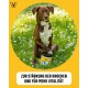 Hip & Joint - Highly Concentrated Joint Tablets for Dogs as Treats with Green-Lipped Mussel Dog, Glucosamine, Chondroitin & MSM - 60 Delicious Snacks (270 g) with Chicken Hip & Joint - Highly Concentrated Joint Tablets for Dogs as Treats with Green-Lipped Mussel Dog, Glucosamine, Chondroitin & MSM - 60 Delicious Snacks (270 g) with Chicken