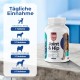 Hip and Joint Tablets for Dogs - Joint Tablets Dog, Joint & Bone Protection for Dogs - Glucosamine KCI 250 mg Green-Lipped Mussel Dog Joint Care for Dogs Joints Tablets Hip and Joint Tablets for Dogs - Joint Tablets Dog, Joint & Bone Protection for Dogs - Glucosamine KCI 250 mg Green-Lipped Mussel Dog Joint Care for Dogs Joints Tablets