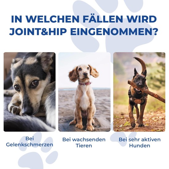 Hip and Joint Tablets for Dogs - Joint Tablets Dog, Joint & Bone Protection for Dogs - Glucosamine KCI 250 mg Green-Lipped Mussel Dog Joint Care for Dogs Joints Tablets Hip and Joint Tablets for Dogs - Joint Tablets Dog, Joint & Bone Protection for Dogs - Glucosamine KCI 250 mg Green-Lipped Mussel Dog Joint Care for Dogs Joints Tablets