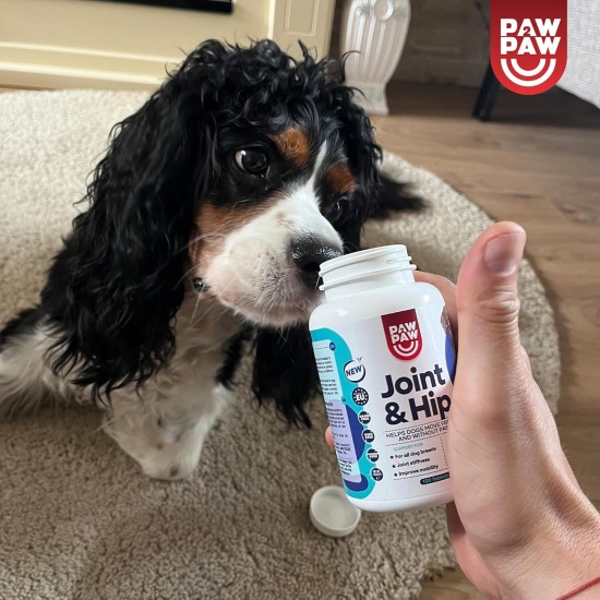 Hip and Joint Tablets for Dogs - Joint Tablets Dog, Joint & Bone Protection for Dogs - Glucosamine KCI 250 mg Green-Lipped Mussel Dog Joint Care for Dogs Joints Tablets Hip and Joint Tablets for Dogs - Joint Tablets Dog, Joint & Bone Protection for Dogs - Glucosamine KCI 250 mg Green-Lipped Mussel Dog Joint Care for Dogs Joints Tablets