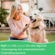 HylMed HA Liquid Dog, 250 ml, High Dose Hyaluronic Acid, Collagen and Other Nutrients to Support the Joints and the Dog's Pleasure of Movement for up to 50 Days HylMed HA Liquid Dog, 250 ml, High Dose Hyaluronic Acid, Collagen and Other Nutrients to Support the Joints and the Dog's Pleasure of Movement for up to 50 Days