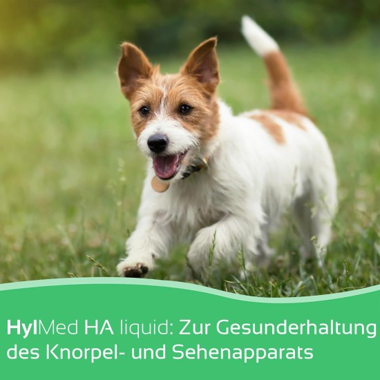 HylMed HA Liquid Dog, 250 ml, High Dose Hyaluronic Acid, Collagen and Other Nutrients to Support the Joints and the Dog's Pleasure of Movement for up to 50 Days HylMed HA Liquid Dog, 250 ml, High Dose Hyaluronic Acid, Collagen and Other Nutrients to Support the Joints and the Dog's Pleasure of Movement for up to 50 Days