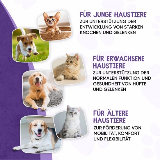 Joint Complex Treats for Dogs – Vitamin Tablets with Glucosamine & Chondroitin, for Small & Large Animals, Joint Tablets Active Flex Plus, Anti Pain Capsules for Dogs – 60 Chews Joint Complex Treats for Dogs – Vitamin Tablets with Glucosamine & Chondroitin, for Small & Large Animals, Joint Tablets Active Flex Plus, Anti Pain Capsules for Dogs – 60 Chews
