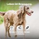 Joint Tablets Dog - Especially for Older Smaller Dogs, 100 Days for 5 kg Dog, Devil's Claw + Green-lipped Mussel + Glucosamine, Pack of 100, by Veterinarian Dr. Knoop, High Acceptance Joint Tablets Dog - Especially for Older Smaller Dogs, 100 Days for 5 kg Dog, Devil's Claw + Green-lipped Mussel + Glucosamine, Pack of 100, by Veterinarian Dr. Knoop, High Acceptance