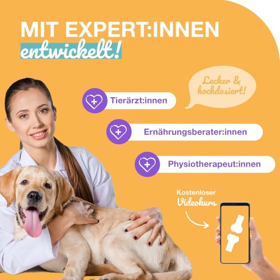 Joint Tablets Dog I 180 Joint Active Snacks as a Delicious Alternative to Classic Tablets with Green-Lipped Mussel, MSM, Glucosamine & Chondroitin I Osteoarthritis I Supports Joints & Bones Joint Tablets Dog I 180 Joint Active Snacks as a Delicious Alternative to Classic Tablets with Green-Lipped Mussel, MSM, Glucosamine & Chondroitin I Osteoarthritis I Supports Joints & Bones