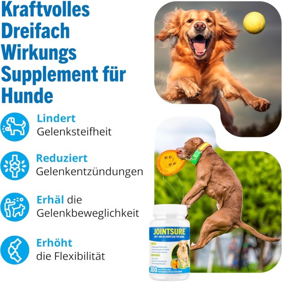 Joint Tablets Dog Premium Joint Capsules, 300 Tablets with Glucosamine, Joint Powder & Green-Lipped Mussels, for Improved Mobility & Joint Health in Dogs Joint Tablets Dog Premium Joint Capsules, 300 Tablets with Glucosamine, Joint Powder & Green-Lipped Mussels, for Improved Mobility & Joint Health in Dogs