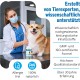 Joint Tablets Dog Premium Joint Capsules, 300 Tablets with Glucosamine, Joint Powder & Green-Lipped Mussels, for Improved Mobility & Joint Health in Dogs Joint Tablets Dog Premium Joint Capsules, 300 Tablets with Glucosamine, Joint Powder & Green-Lipped Mussels, for Improved Mobility & Joint Health in Dogs