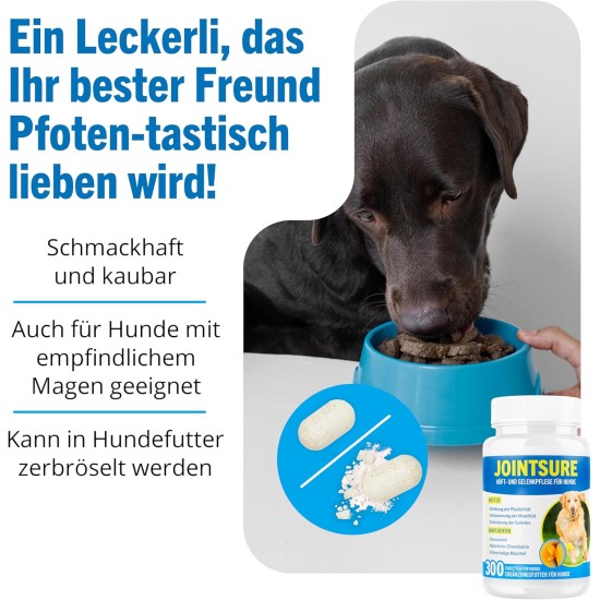 Joint Tablets Dog Premium Joint Capsules, 300 Tablets with Glucosamine, Joint Powder & Green-Lipped Mussels, for Improved Mobility & Joint Health in Dogs Joint Tablets Dog Premium Joint Capsules, 300 Tablets with Glucosamine, Joint Powder & Green-Lipped Mussels, for Improved Mobility & Joint Health in Dogs