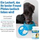 Joint Tablets Dog Premium Joint Capsules, 300 Tablets with Glucosamine, Joint Powder & Green-Lipped Mussels, for Improved Mobility & Joint Health in Dogs Joint Tablets Dog Premium Joint Capsules, 300 Tablets with Glucosamine, Joint Powder & Green-Lipped Mussels, for Improved Mobility & Joint Health in Dogs