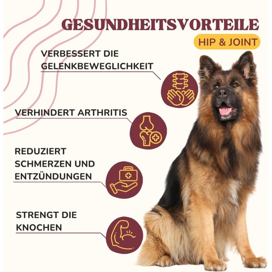 Joint Tablets Dog to Strengthen Joints, Hips and Improve Mobility, with Green-Lipped Mussel Dog Powder, Natural Pain Reliever for Dogs with Glucosamine Dog Joint Tablets Dog to Strengthen Joints, Hips and Improve Mobility, with Green-Lipped Mussel Dog Powder, Natural Pain Reliever for Dogs with Glucosamine Dog