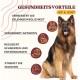 Joint Tablets Dog to Strengthen Joints, Hips and Improve Mobility, with Green-Lipped Mussel Dog Powder, Natural Pain Reliever for Dogs with Glucosamine Dog Joint Tablets Dog to Strengthen Joints, Hips and Improve Mobility, with Green-Lipped Mussel Dog Powder, Natural Pain Reliever for Dogs with Glucosamine Dog
