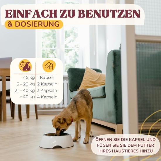 Joint Tablets Dog to Strengthen Joints, Hips and Improve Mobility, with Green-Lipped Mussel Dog Powder, Natural Pain Reliever for Dogs with Glucosamine Dog Joint Tablets Dog to Strengthen Joints, Hips and Improve Mobility, with Green-Lipped Mussel Dog Powder, Natural Pain Reliever for Dogs with Glucosamine Dog