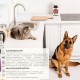 Joint Tablets Dog to Strengthen Joints, Hips and Improve Mobility, with Green-Lipped Mussel Dog Powder, Natural Pain Reliever for Dogs with Glucosamine Dog Joint Tablets Dog to Strengthen Joints, Hips and Improve Mobility, with Green-Lipped Mussel Dog Powder, Natural Pain Reliever for Dogs with Glucosamine Dog