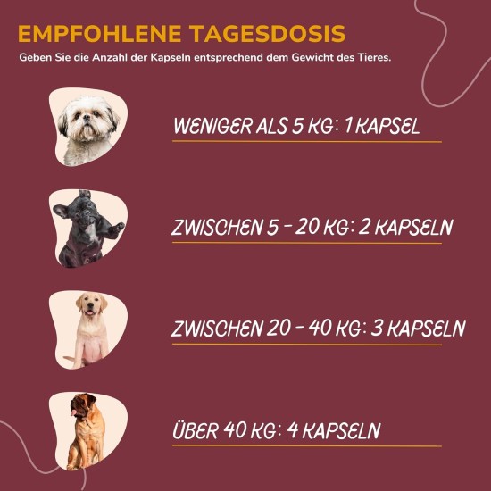 Joint Tablets Dog to Strengthen Joints, Hips and Improve Mobility, with Green-Lipped Mussel Dog Powder, Natural Pain Reliever for Dogs with Glucosamine Dog Joint Tablets Dog to Strengthen Joints, Hips and Improve Mobility, with Green-Lipped Mussel Dog Powder, Natural Pain Reliever for Dogs with Glucosamine Dog