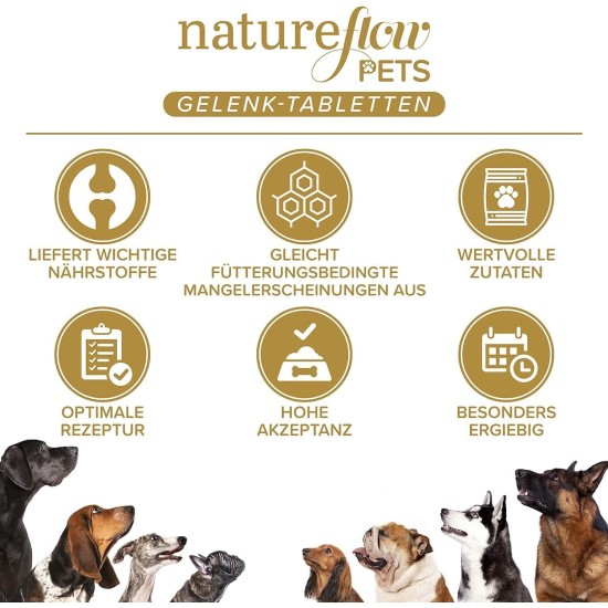 Joint Tablets for Dogs, Made in Germany with Green-Lipped Mussel, MSM and Devil's Claw, No Capsules, High Acceptance Joint Tablets for Dogs, Pack of 100 Joint Tablets for Dogs, Made in Germany with Green-Lipped Mussel, MSM and Devil's Claw, No Capsules, High Acceptance Joint Tablets for Dogs, Pack of 100