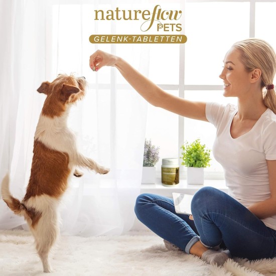 Joint Tablets for Dogs, Made in Germany with Green-Lipped Mussel, MSM and Devil's Claw, No Capsules, High Acceptance Joint Tablets for Dogs, Pack of 100 Joint Tablets for Dogs, Made in Germany with Green-Lipped Mussel, MSM and Devil's Claw, No Capsules, High Acceptance Joint Tablets for Dogs, Pack of 100