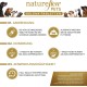 Joint Tablets for Dogs, Made in Germany with Green-Lipped Mussel, MSM and Devil's Claw, No Capsules, High Acceptance Joint Tablets for Dogs, Pack of 100 Joint Tablets for Dogs, Made in Germany with Green-Lipped Mussel, MSM and Devil's Claw, No Capsules, High Acceptance Joint Tablets for Dogs, Pack of 100