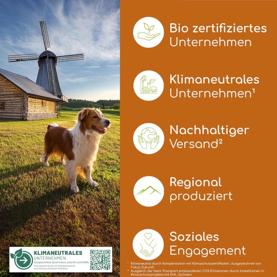 Joint Tablets for Dogs as Snack, 140 Treats with Green-Lipped Mussel & MSM, Joint Protection, Cartilage Care & Bone Building, Natural Ingredients Support Joints and Bones Joint Tablets for Dogs as Snack, 140 Treats with Green-Lipped Mussel & MSM, Joint Protection, Cartilage Care & Bone Building, Natural Ingredients Support Joints and Bones
