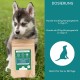 Joint Tablets for Dogs with Green-Lipped Mussel, Pack of 100, Made in Germany, Highly Concentrated, Easy to Feed, High Acceptance, Devil's Claw, MSM and Glucosamine Joint Tablets for Dogs with Green-Lipped Mussel, Pack of 100, Made in Germany, Highly Concentrated, Easy to Feed, High Acceptance, Devil's Claw, MSM and Glucosamine