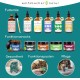 Joint Tablets for Dogs with Green-Lipped Mussel, Pack of 100, Made in Germany, Highly Concentrated, Easy to Feed, High Acceptance, Devil's Claw, MSM and Glucosamine Joint Tablets for Dogs with Green-Lipped Mussel, Pack of 100, Made in Germany, Highly Concentrated, Easy to Feed, High Acceptance, Devil's Claw, MSM and Glucosamine