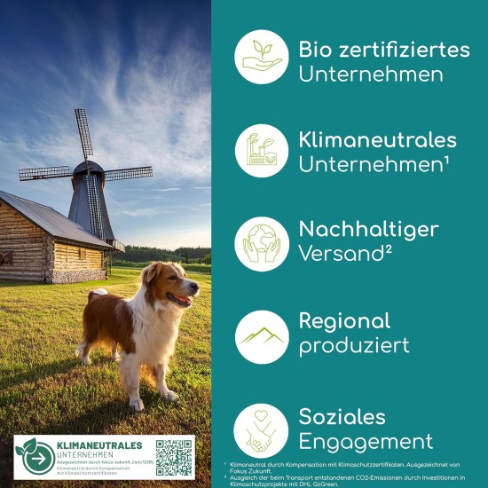 Joint Tablets for Dogs with Green-Lipped Mussel, Pack of 100, Made in Germany, Highly Concentrated, Easy to Feed, High Acceptance, Devil's Claw, MSM and Glucosamine Joint Tablets for Dogs with Green-Lipped Mussel, Pack of 100, Made in Germany, Highly Concentrated, Easy to Feed, High Acceptance, Devil's Claw, MSM and Glucosamine