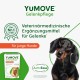 Lintbells YuMOVE Young and Active Dog Joint Supplements, 60 Tablets Lintbells YuMOVE Young and Active Dog Joint Supplements, 60 Tablets