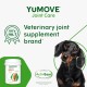 Lintbells YuMOVE Young and Active Dog Joint Supplements, 60 Tablets Lintbells YuMOVE Young and Active Dog Joint Supplements, 60 Tablets