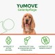 Lintbells YuMOVE Young and Active Dog Joint Supplements, 60 Tablets Lintbells YuMOVE Young and Active Dog Joint Supplements, 60 Tablets