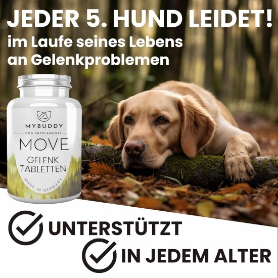 MYBUDDY Move Joint Tablets Dog with Green-Lipped Mussel MSM Devil's Claw Hyaluronic Yeast Glucosamine Curcuma Ginger for All Breeds Dietary Supplement for Dogs Made in Germany MYBUDDY Move Joint Tablets Dog with Green-Lipped Mussel MSM Devil's Claw Hyaluronic Yeast Glucosamine Curcuma Ginger for All Breeds Dietary Supplement for Dogs Made in Germany