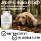 MYBUDDY Move Joint Tablets Dog with Green-Lipped Mussel MSM Devil's Claw Hyaluronic Yeast Glucosamine Curcuma Ginger for All Breeds Dietary Supplement for Dogs Made in Germany MYBUDDY Move Joint Tablets Dog with Green-Lipped Mussel MSM Devil's Claw Hyaluronic Yeast Glucosamine Curcuma Ginger for All Breeds Dietary Supplement for Dogs Made in Germany