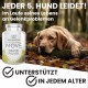 MYBUDDY Move Joint Tablets Dog with Green-Lipped Mussel MSM Devil's Claw Hyaluronic Yeast Glucosamine Curcuma Ginger for All Breeds Dietary Supplement for Dogs Made in Germany MYBUDDY Move Joint Tablets Dog with Green-Lipped Mussel MSM Devil's Claw Hyaluronic Yeast Glucosamine Curcuma Ginger for All Breeds Dietary Supplement for Dogs Made in Germany