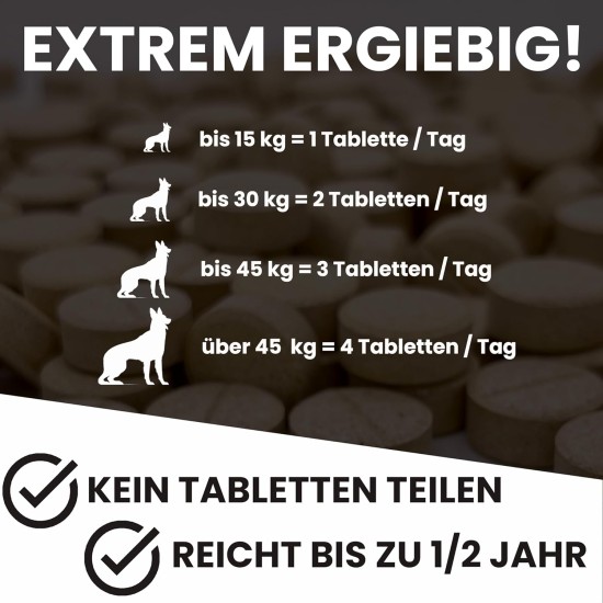 MYBUDDY Move Joint Tablets Dog with Green-Lipped Mussel MSM Devil's Claw Hyaluronic Yeast Glucosamine Curcuma Ginger for All Breeds Dietary Supplement for Dogs Made in Germany MYBUDDY Move Joint Tablets Dog with Green-Lipped Mussel MSM Devil's Claw Hyaluronic Yeast Glucosamine Curcuma Ginger for All Breeds Dietary Supplement for Dogs Made in Germany