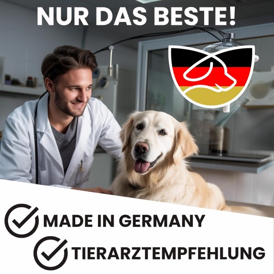 MYBUDDY Move Joint Tablets Dog with Green-Lipped Mussel MSM Devil's Claw Hyaluronic Yeast Glucosamine Curcuma Ginger for All Breeds Dietary Supplement for Dogs Made in Germany MYBUDDY Move Joint Tablets Dog with Green-Lipped Mussel MSM Devil's Claw Hyaluronic Yeast Glucosamine Curcuma Ginger for All Breeds Dietary Supplement for Dogs Made in Germany