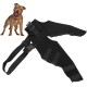 Pet Dog Rear Legs Protection Adjustable Knee Brace Leg Support for Dogs Hind Legs Recover Hip Joint Care (HJ25 Rear Double Leggings Black L) Pet Dog Rear Legs Protection Adjustable Knee Brace Leg Support for Dogs Hind Legs Recover Hip Joint Care (HJ25 Rear Double Leggings Black L)