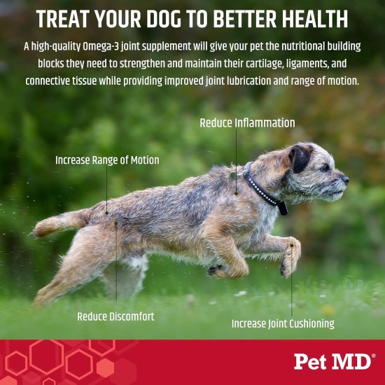 Pet MD Hip & Joint Supplement + Omega 3 for Dogs and Cats Glucosamine Chondroitin Liquid Joint Support Supplement with MSM and Vitamin C 250ml Pet MD Hip & Joint Supplement + Omega 3 for Dogs and Cats Glucosamine Chondroitin Liquid Joint Support Supplement with MSM and Vitamin C 250ml