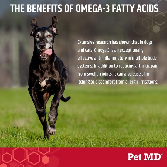 Pet MD Hip & Joint Supplement + Omega 3 for Dogs and Cats Glucosamine Chondroitin Liquid Joint Support Supplement with MSM and Vitamin C 250ml Pet MD Hip & Joint Supplement + Omega 3 for Dogs and Cats Glucosamine Chondroitin Liquid Joint Support Supplement with MSM and Vitamin C 250ml