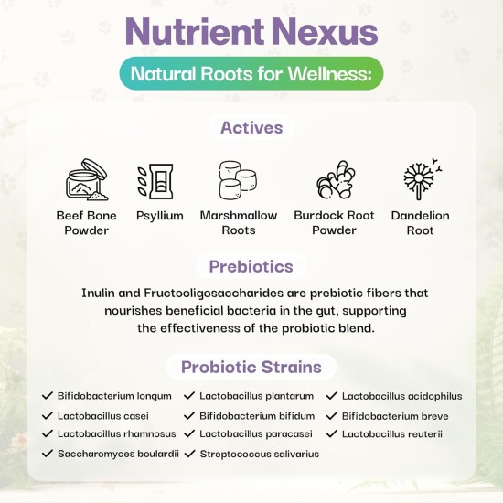 Probiotic Joint and Muscle Powder for Dogs - 100g - Comfortable Movement - Joint Preparations for Dogs - Glucosamine, Hip and Joint Care - Pain Relieving Joint Aid for Dogs - 10 Mi Probiotic Joint and Muscle Powder for Dogs - 100g - Comfortable Movement - Joint Preparations for Dogs - Glucosamine, Hip and Joint Care - Pain Relieving Joint Aid for Dogs - 10 Mi